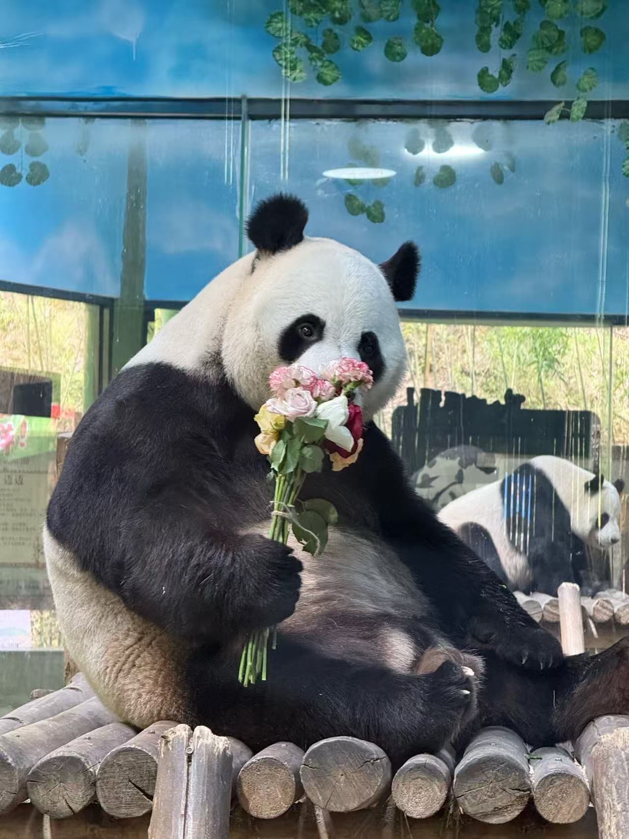 博主头像